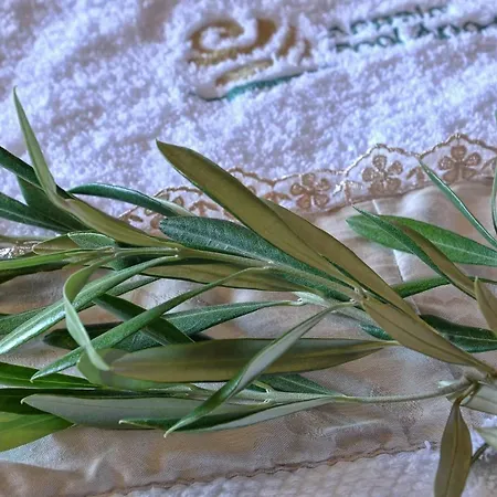 Angela Pool Apartman *